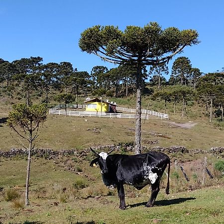 Casa E Cabana De Campo Fazenda Borba Урубиси Экстерьер фото