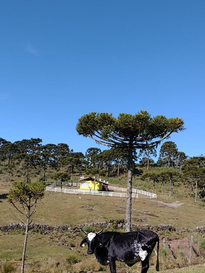 Casa E Cabana De Campo Fazenda Borba Урубиси Экстерьер фото