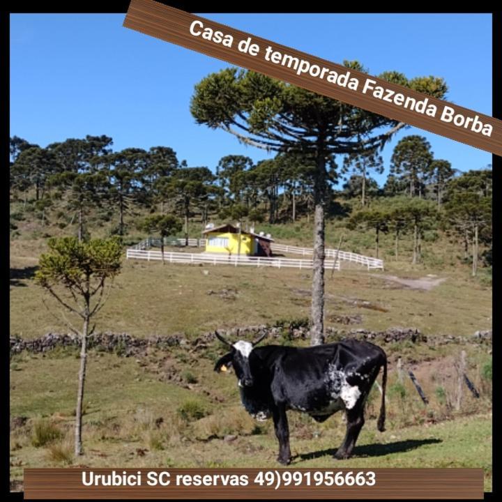 Casa E Cabana De Campo Fazenda Borba Урубиси Экстерьер фото
