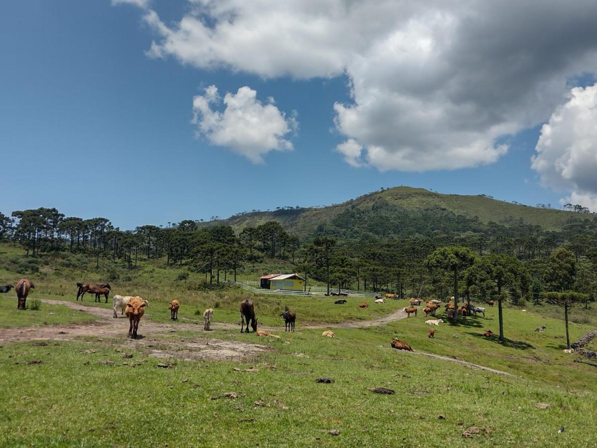 Casa E Cabana De Campo Fazenda Borba Урубиси Экстерьер фото