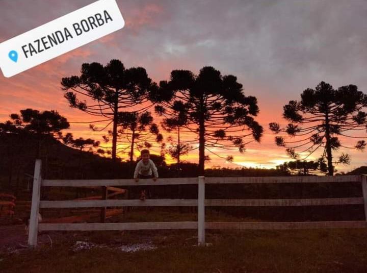 Casa E Cabana De Campo Fazenda Borba Урубиси Экстерьер фото