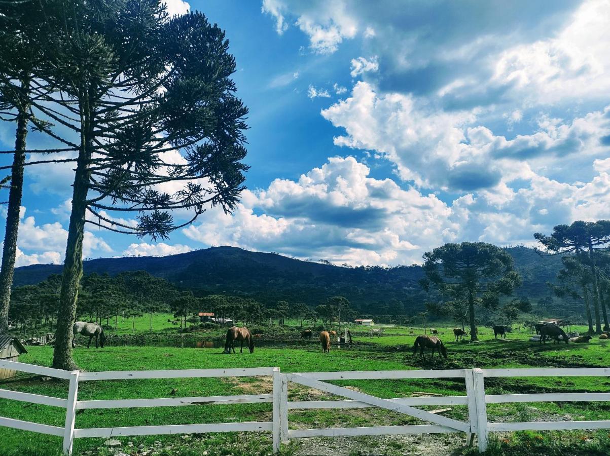 Casa E Cabana De Campo Fazenda Borba Урубиси Экстерьер фото