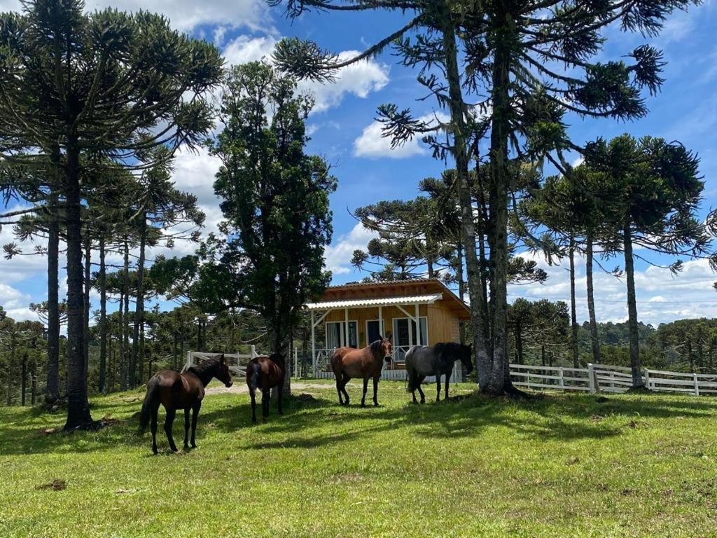 Casa E Cabana De Campo Fazenda Borba Урубиси Экстерьер фото