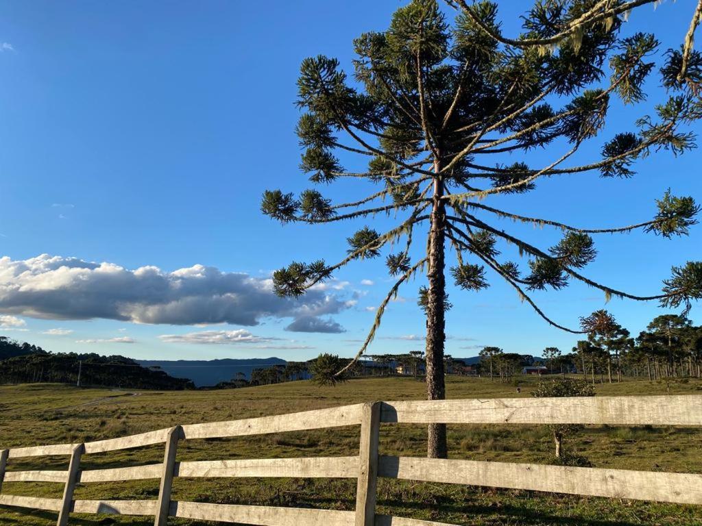 Casa E Cabana De Campo Fazenda Borba Урубиси Номер фото