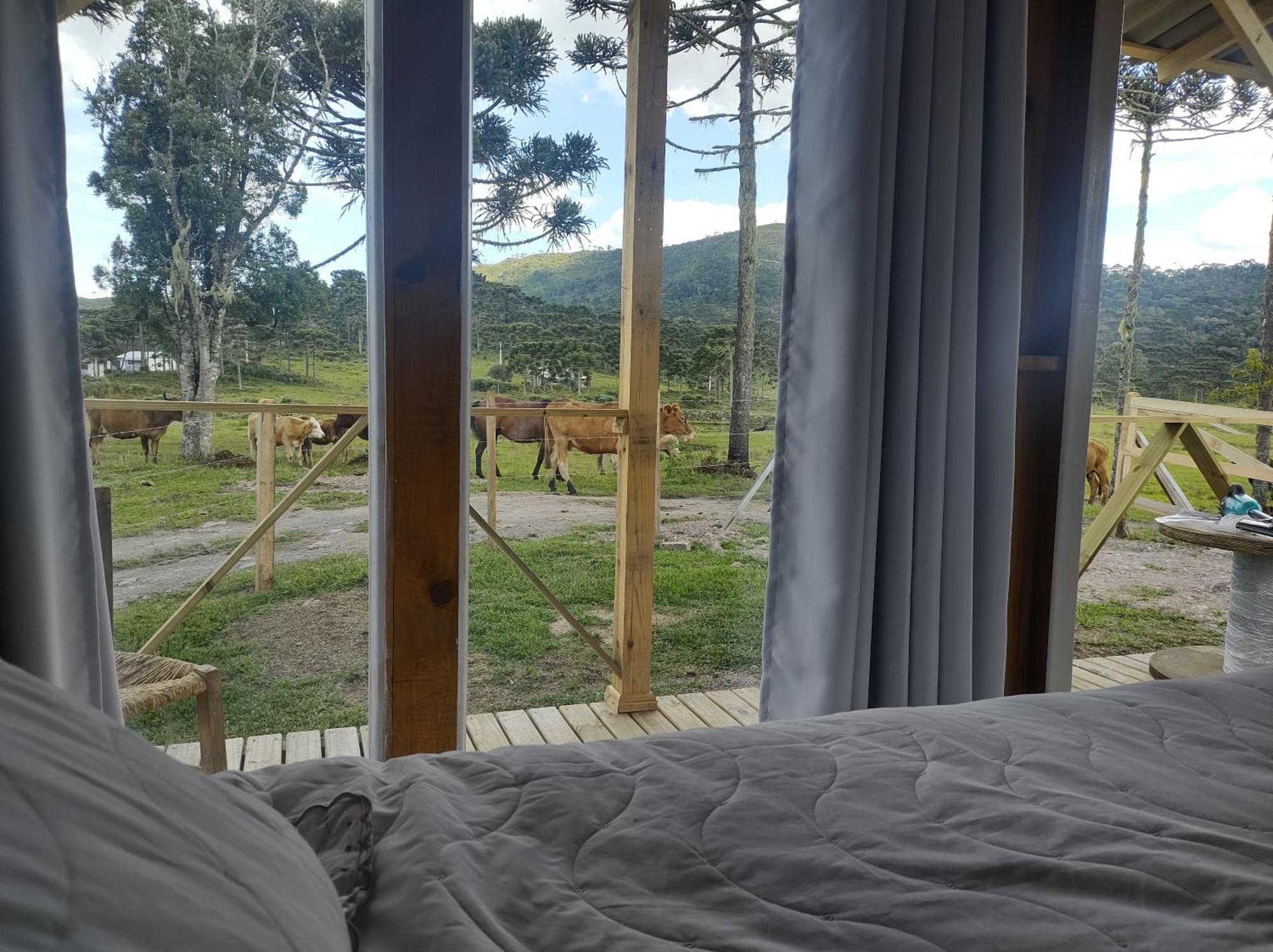 Casa E Cabana De Campo Fazenda Borba Урубиси Номер фото