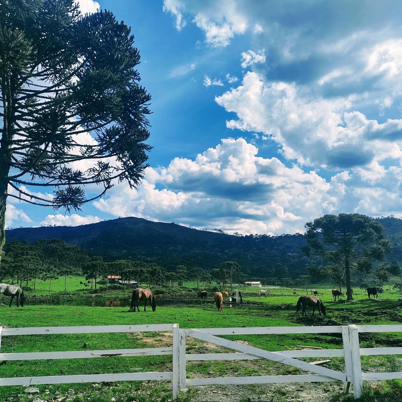 Casa E Cabana De Campo Fazenda Borba Урубиси Экстерьер фото