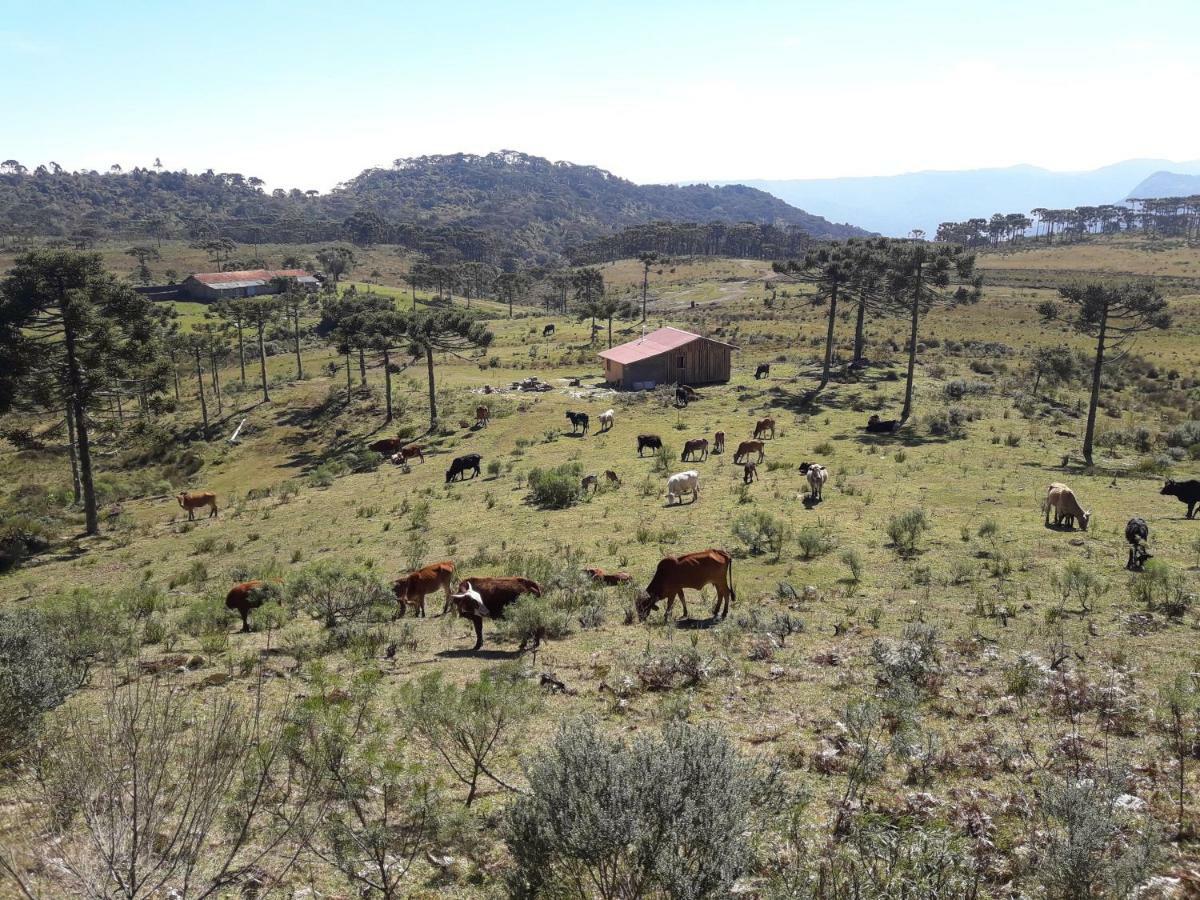 Casa E Cabana De Campo Fazenda Borba Урубиси Экстерьер фото